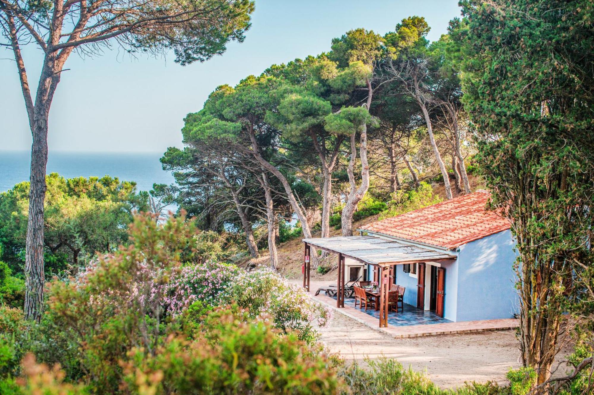 Tenuta Delle Ripalte Capoliveri  Buitenkant foto