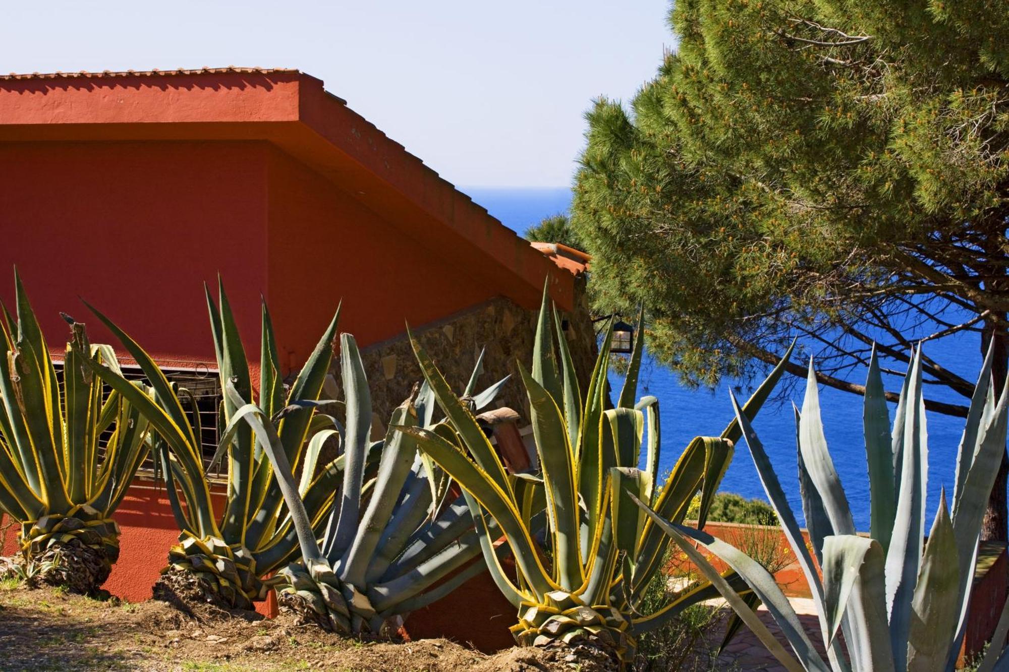 Tenuta Delle Ripalte Capoliveri  Kamer foto