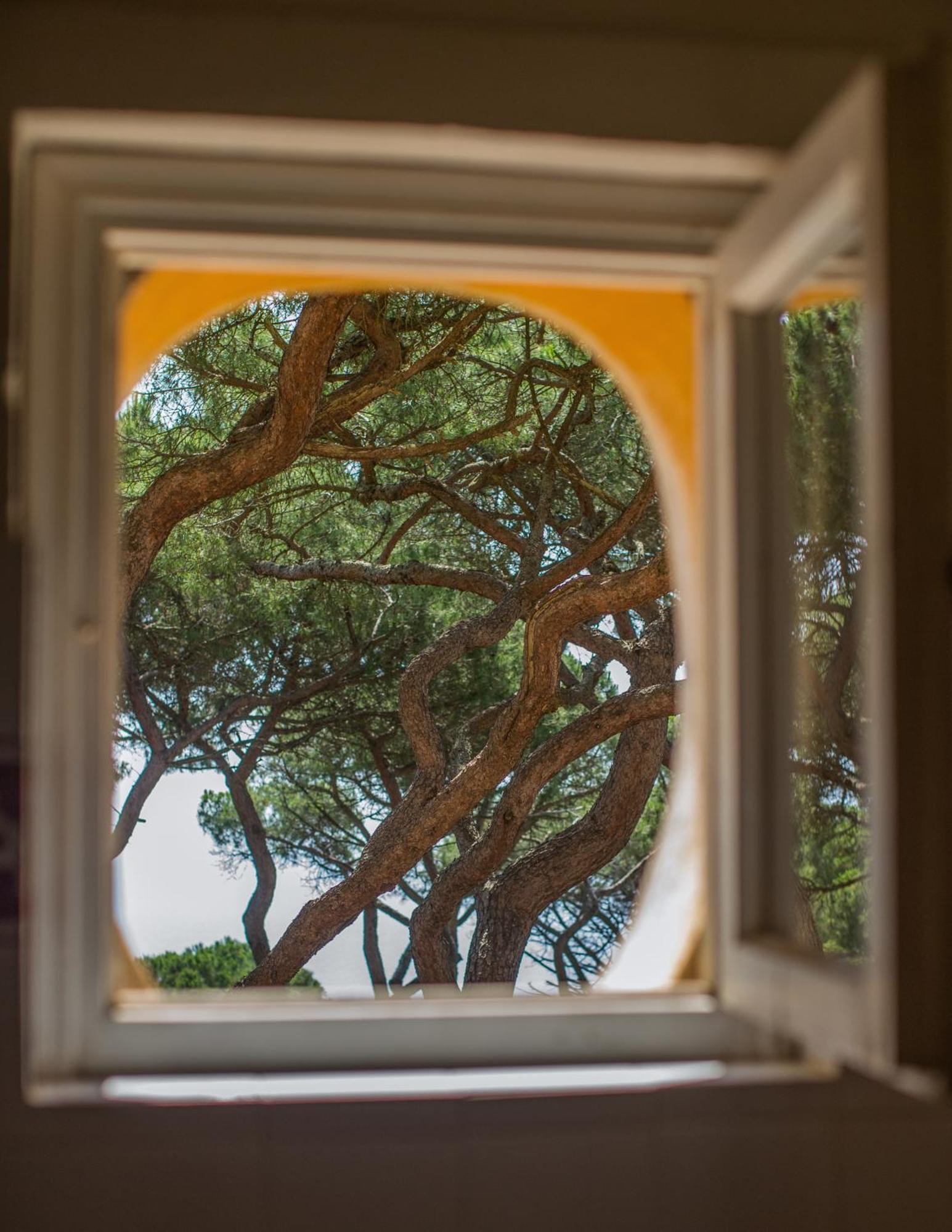 Tenuta Delle Ripalte Capoliveri  Buitenkant foto